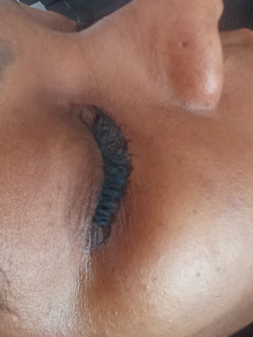 Trabalho de Escovista por Nilma Sousa em Vila Seabra, São Paulo — foto 15 de 21