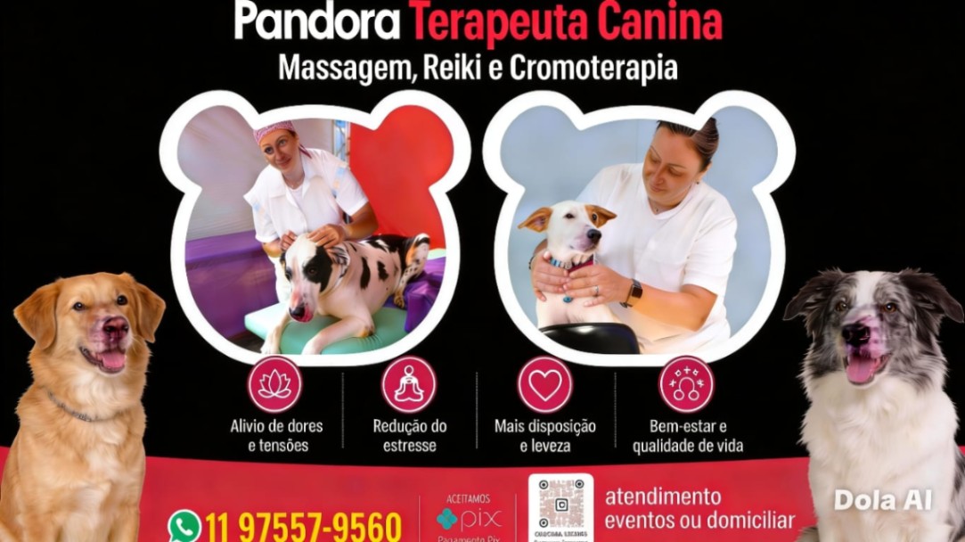 Trabalho de Massoterapeuta por Pandora Serviços em Vila Augusta, Guarulhos — foto 6 de 6