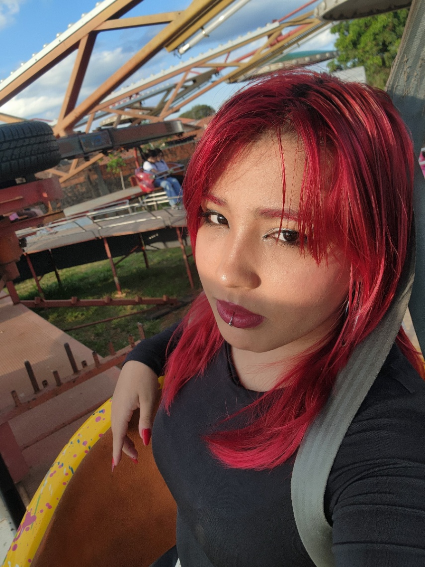 Jamile Vitoria Dias de Paiva Grilo