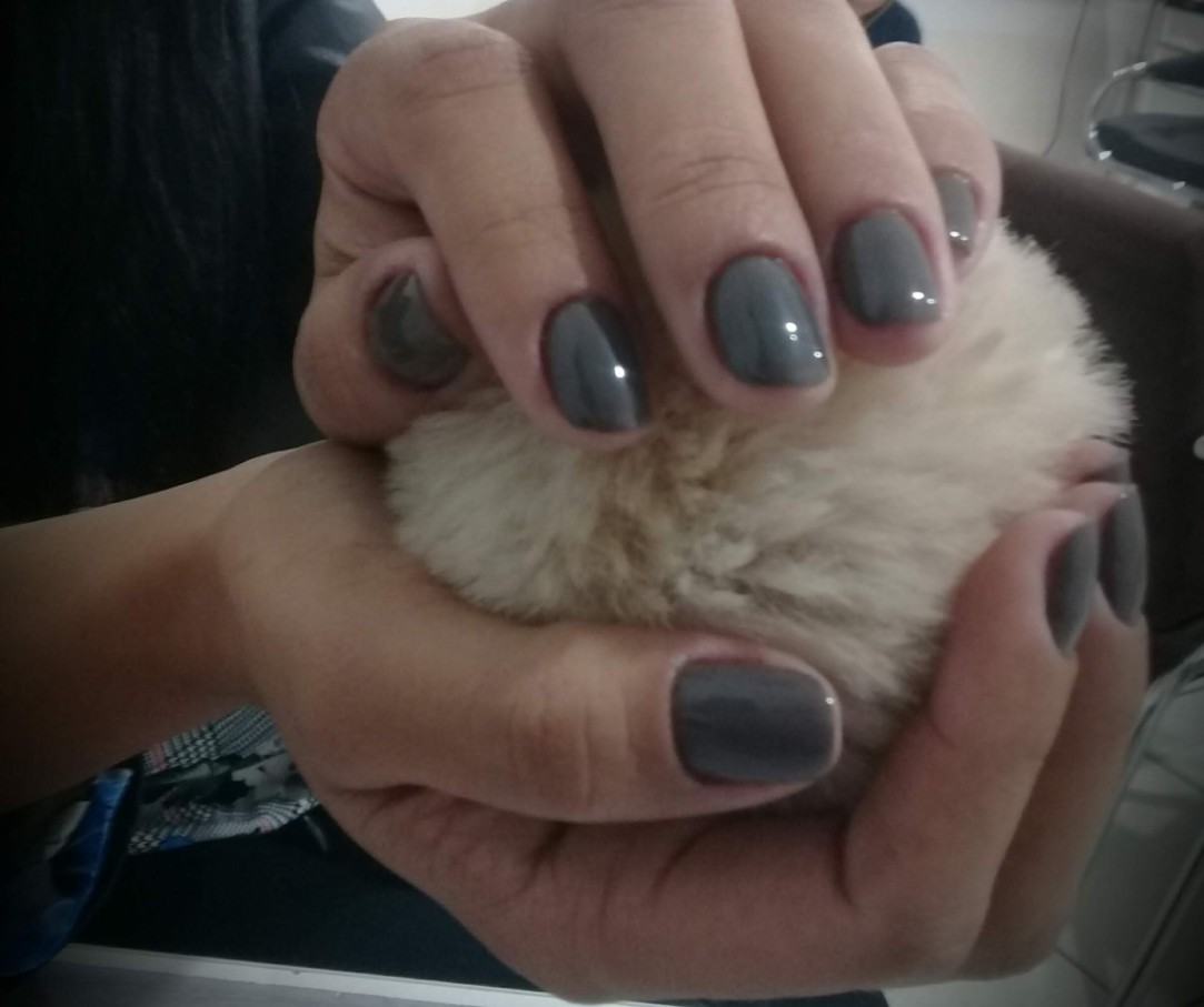 Trabalho de Manicure/Pedicure por Vanessa Dias em Jardim Santo Eduardo, Embu das Artes — foto 2 de 9