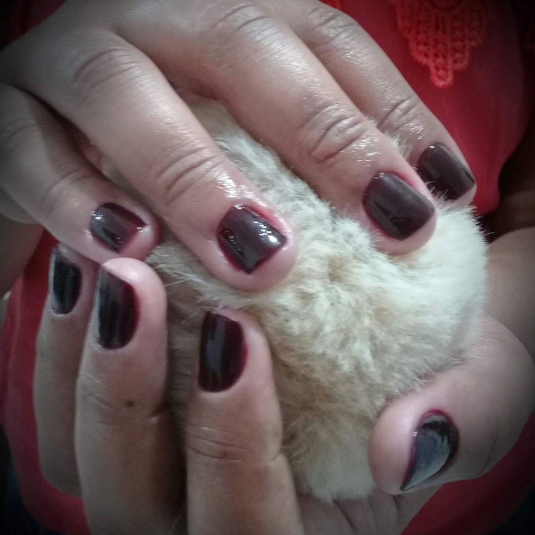 Trabalho de Manicure/Pedicure por Vanessa Dias em Jardim Santo Eduardo, Embu das Artes — foto 3 de 9