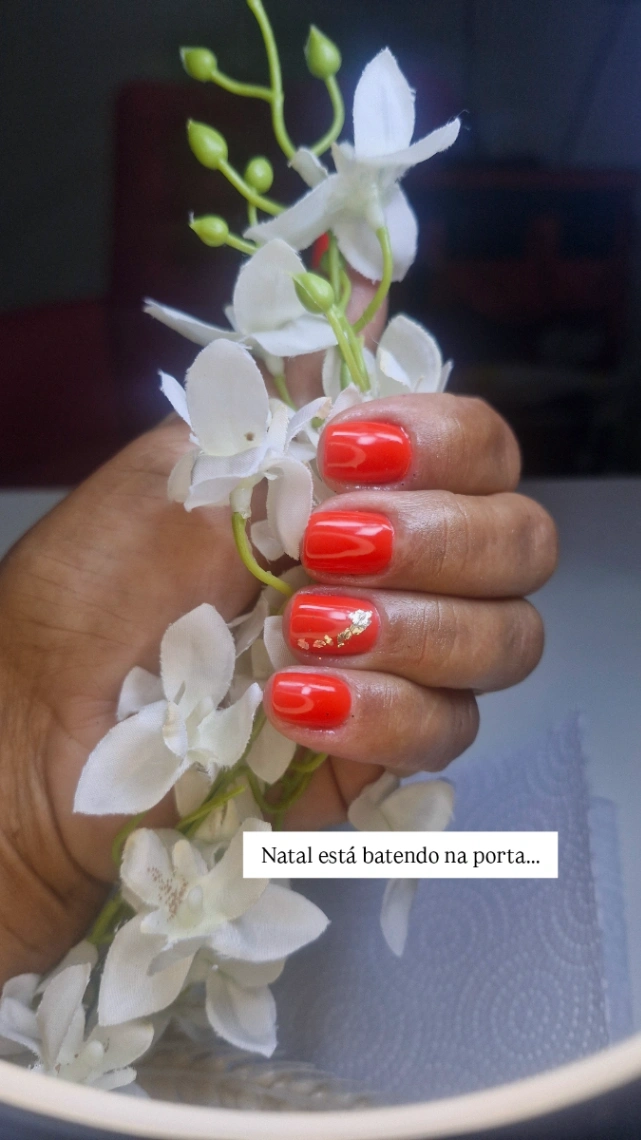 Trabalho de Manicure/Pedicure por Elisangela Povis em Vila Nova Mauá, Mauá — foto 5 de 9