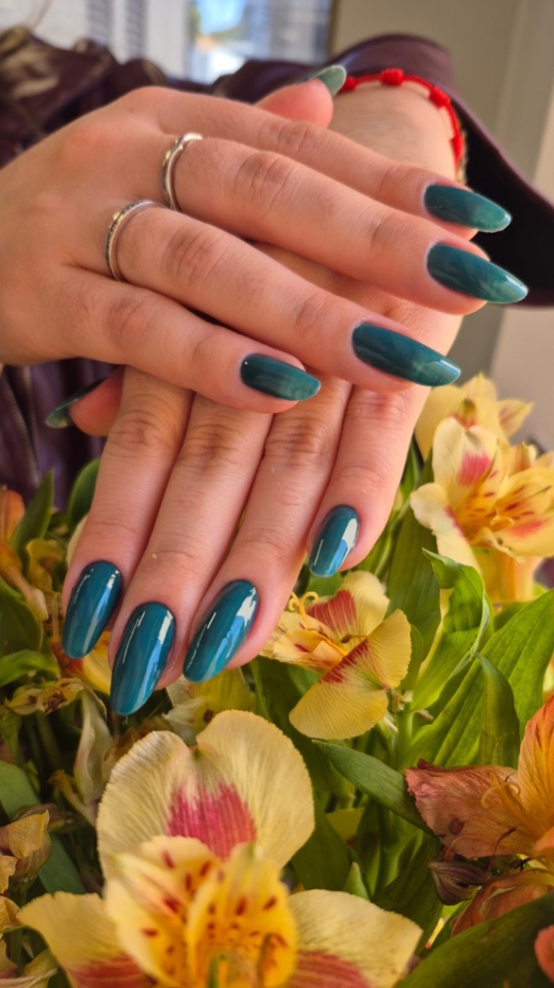 Trabalho de Manicure/Pedicure por Hellyneduarda10 Ale em Jardim Leônidas Moreira, São Paulo — foto 16 de 22