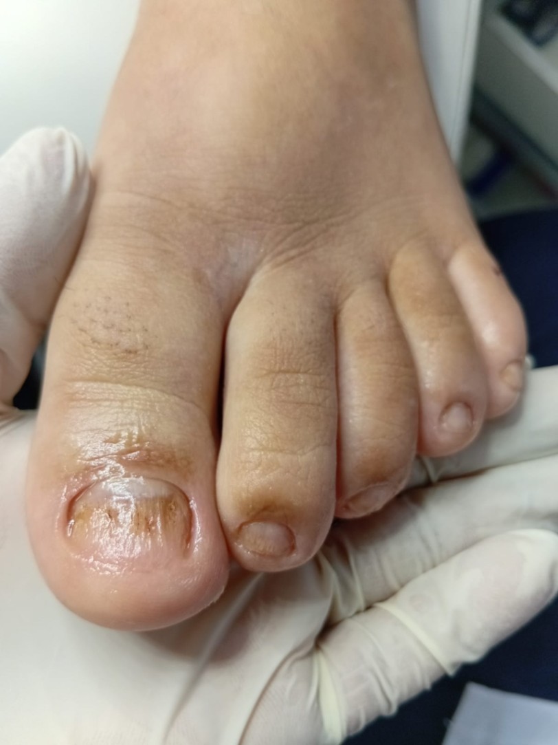 Trabalho de Manicure/Pedicure por Deise Assis em Vila Brasilina, São Paulo — foto 7 de 30
