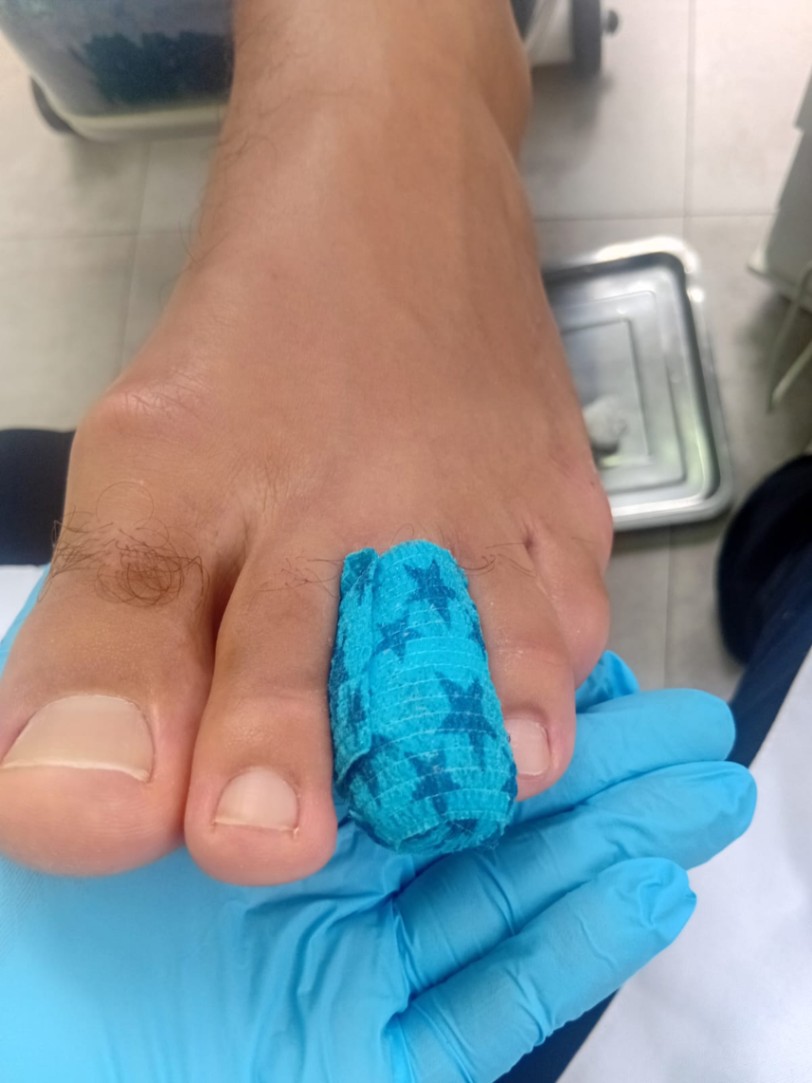 Trabalho de Manicure/Pedicure por Deise Assis em Vila Brasilina, São Paulo — foto 11 de 30