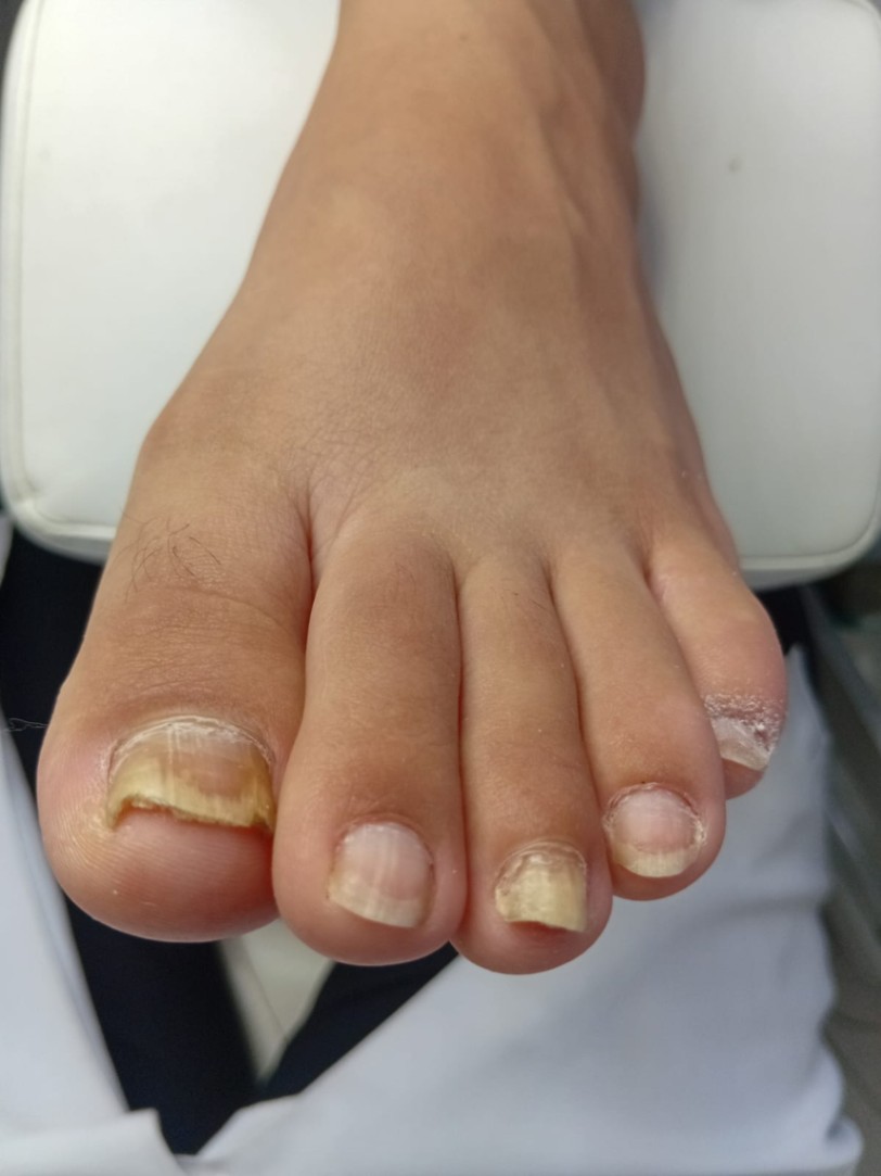 Trabalho de Manicure/Pedicure por Deise Assis em Vila Brasilina, São Paulo — foto 12 de 30