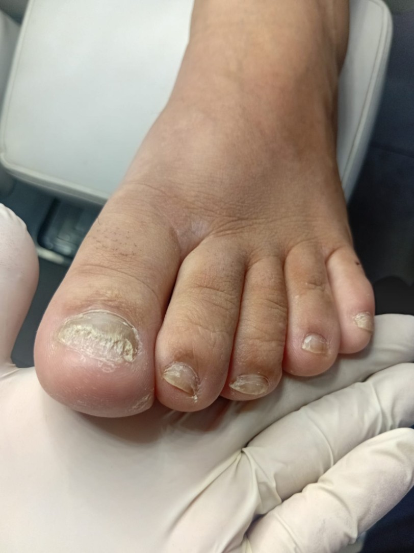 Trabalho de Manicure/Pedicure por Deise Assis em Vila Brasilina, São Paulo — foto 16 de 30