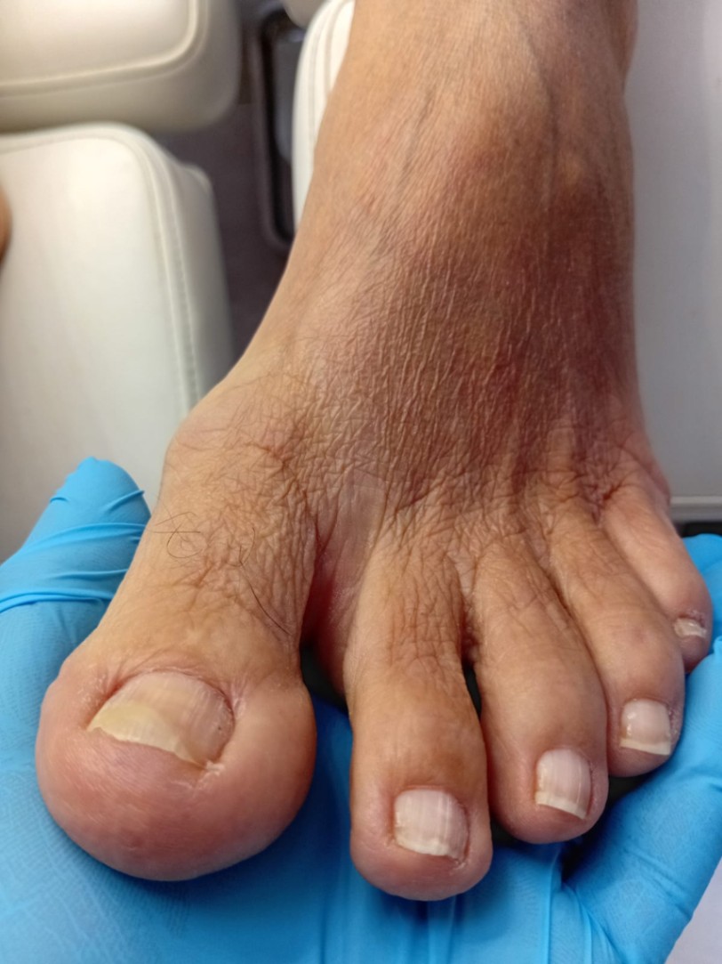 Trabalho de Manicure/Pedicure por Deise Assis em Vila Brasilina, São Paulo — foto 18 de 30