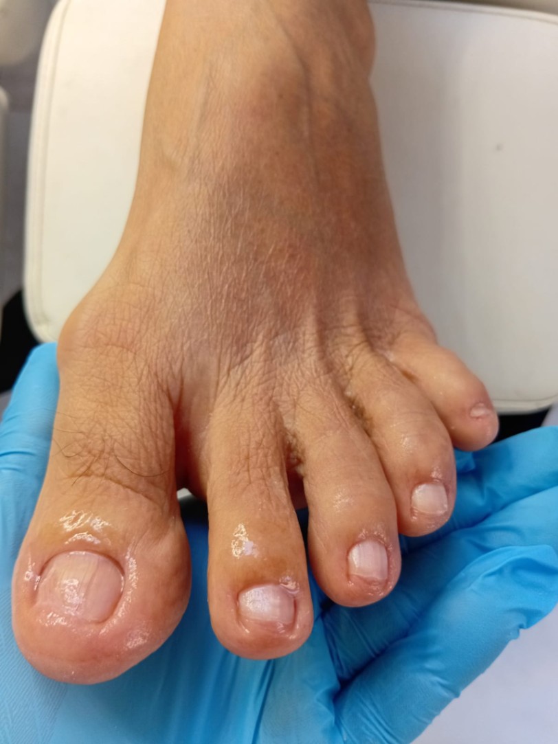 Trabalho de Manicure/Pedicure por Deise Assis em Vila Brasilina, São Paulo — foto 19 de 30