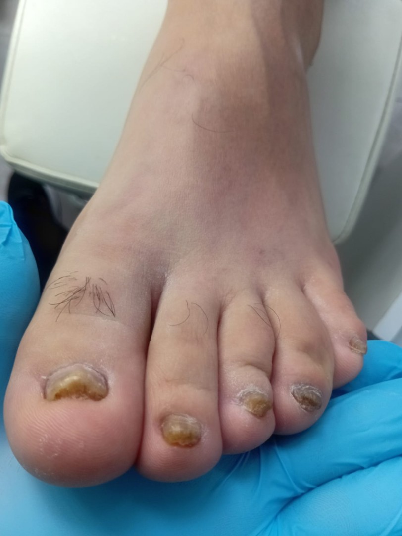 Trabalho de Manicure/Pedicure por Deise Assis em Vila Brasilina, São Paulo — foto 20 de 30