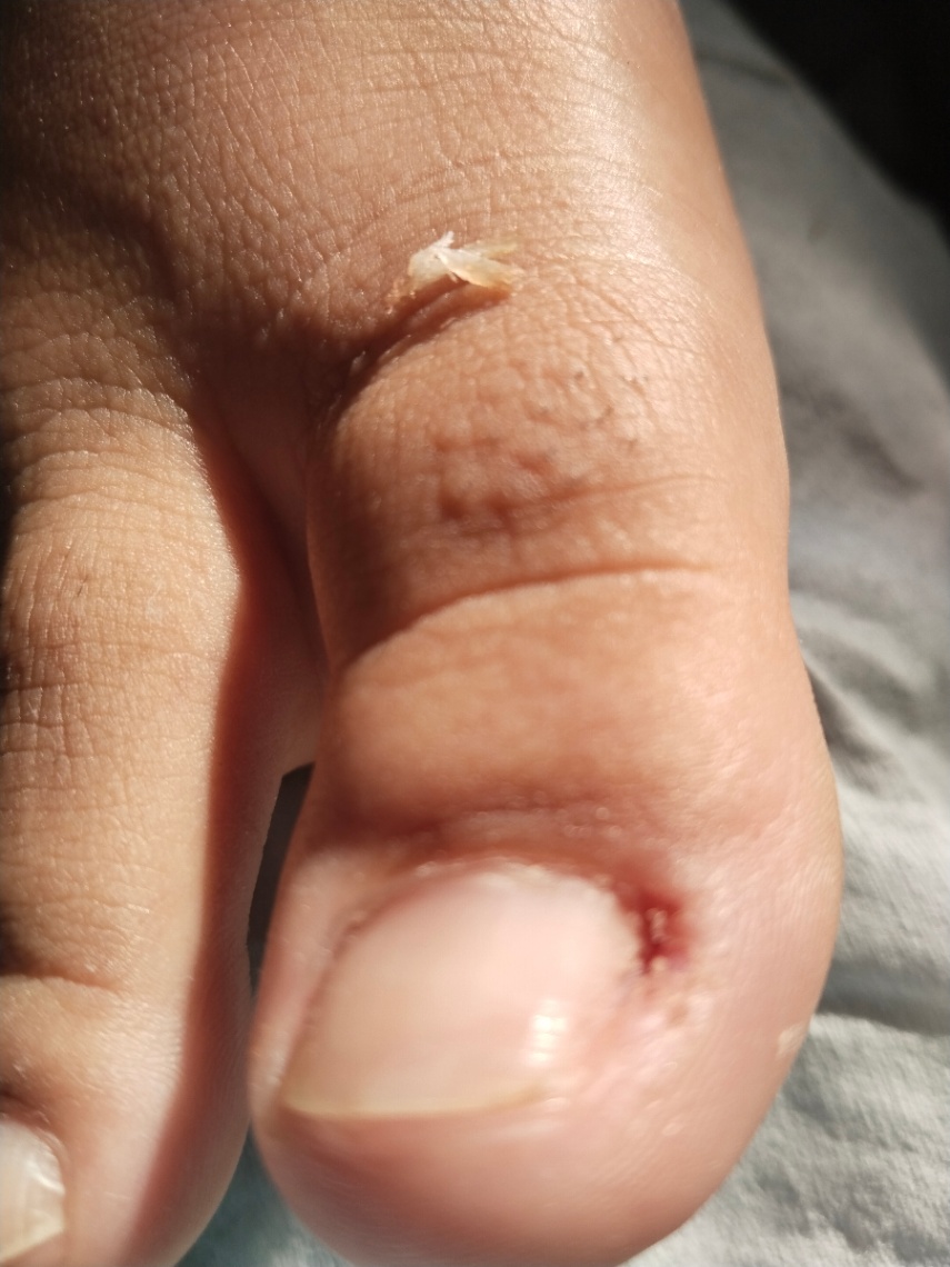 Trabalho de Manicure/Pedicure por Deise Assis em Vila Brasilina, São Paulo — foto 22 de 30