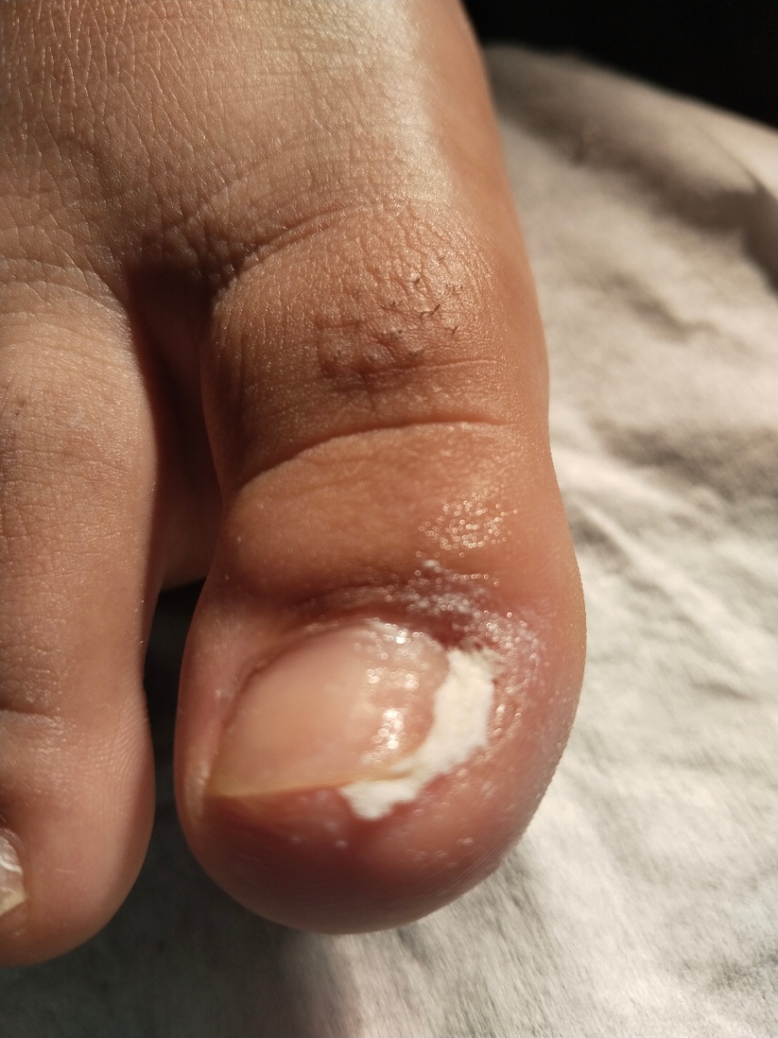 Trabalho de Manicure/Pedicure por Deise Assis em Vila Brasilina, São Paulo — foto 23 de 30