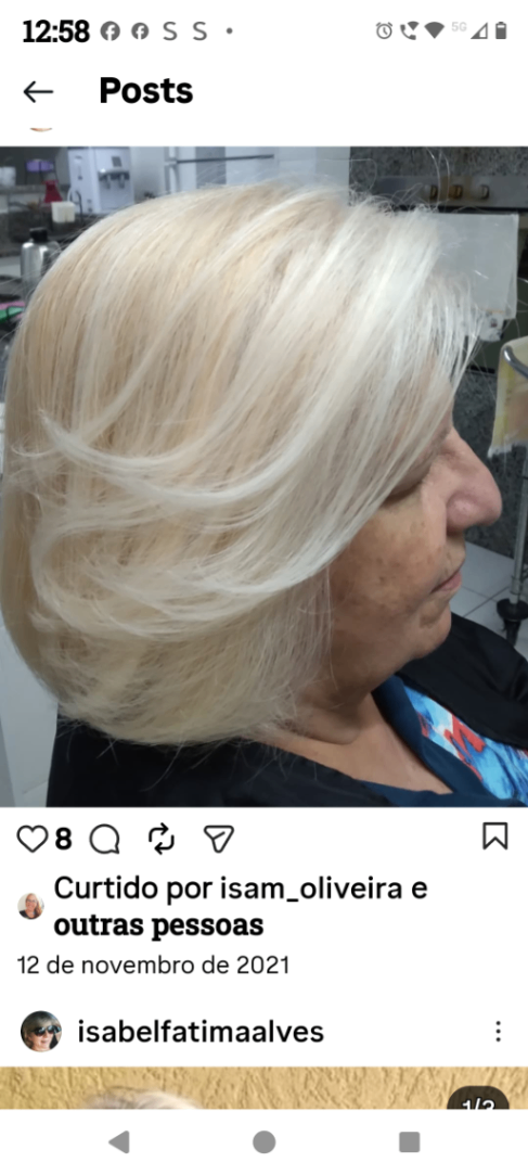 Trabalho de Cabeleireiro(a) por Isabel de Fátima Alves em Jardim Remo, São Paulo — foto 13 de 21