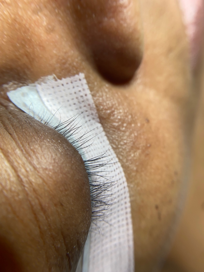 Trabalho de Lash Designer por Giovanna Zagatti em Tucuruvi, São Paulo — foto 1 de 6