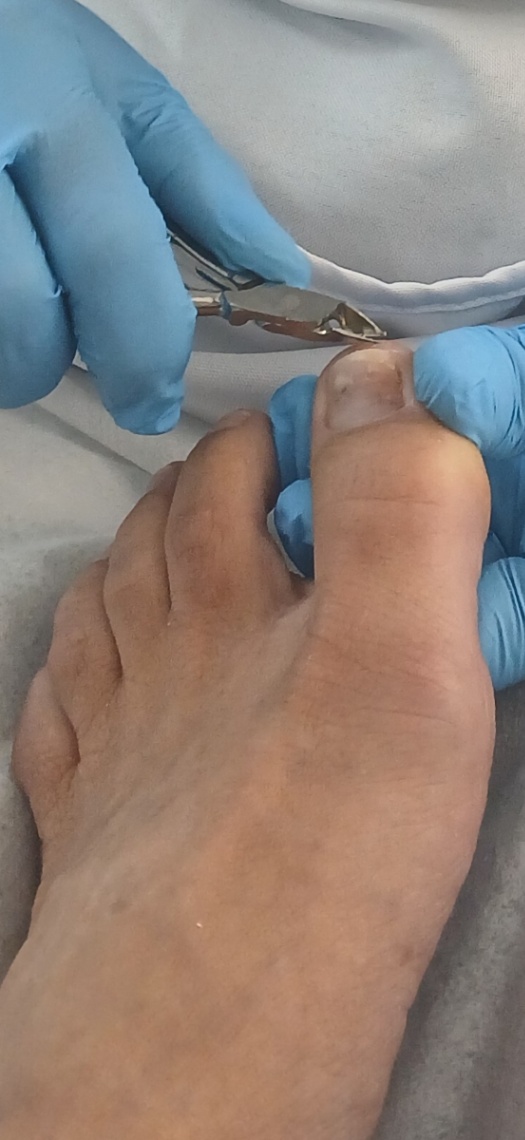 Trabalho de Manicure/Pedicure por Vanessa de Paula Meira em Vila Suzana, São Paulo — foto 7 de 41
