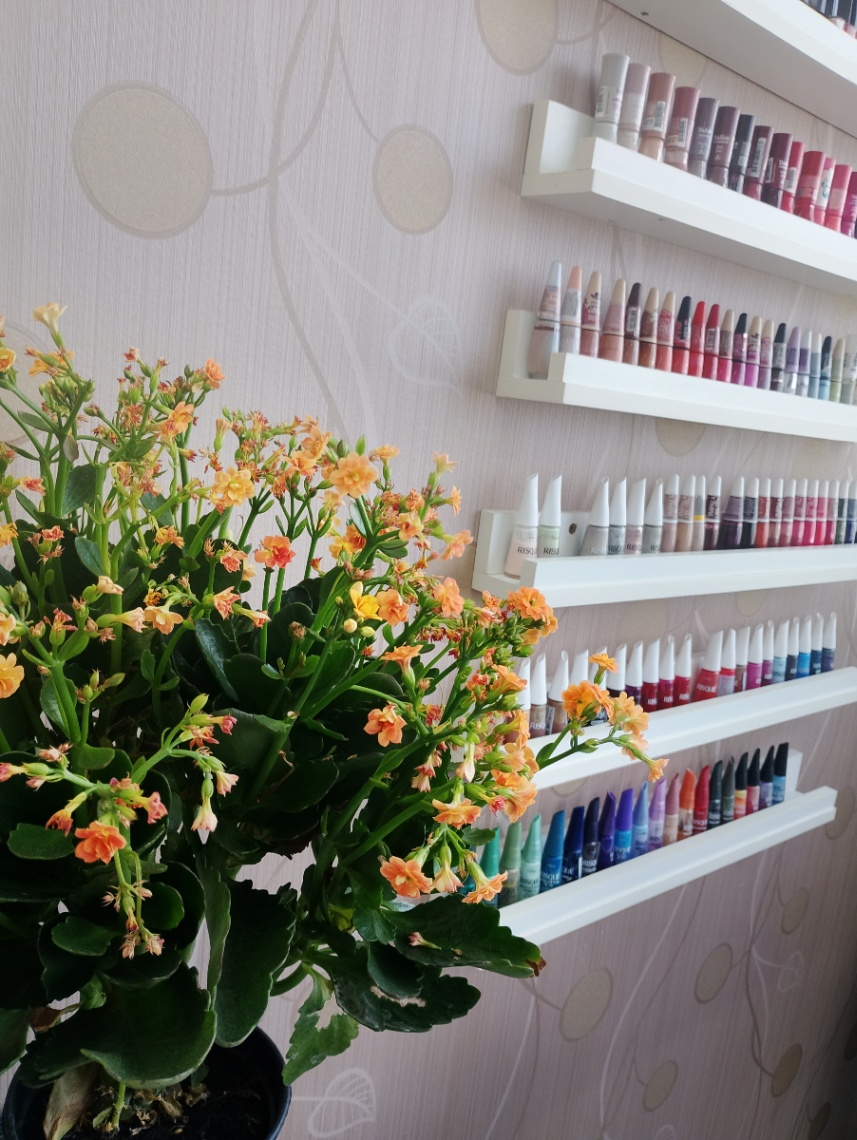 Vaga de Manicure/Pedicure - Jundiaí - SP — Caroline Vechi de Paula Cardoso 22890172805